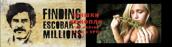 ALPHA PVP Алзамай