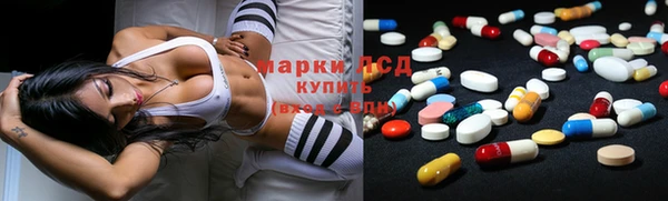 ПСИЛОЦИБИНОВЫЕ ГРИБЫ Алексеевка