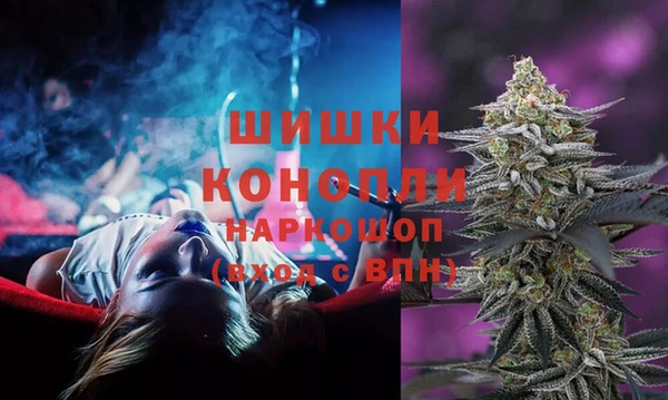 сатива Абинск