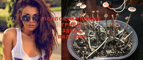 ПСИЛОЦИБИНОВЫЕ ГРИБЫ Алексеевка