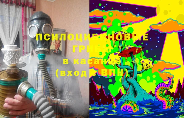 ПСИЛОЦИБИНОВЫЕ ГРИБЫ Алексеевка
